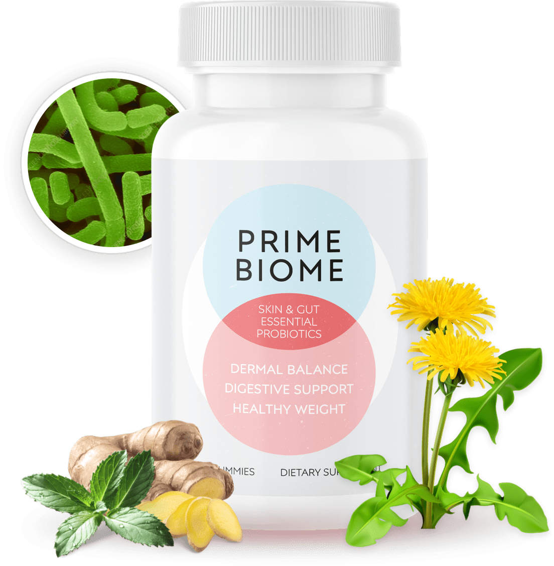 Prime Biome Ingredients List